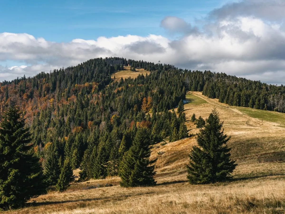 Jaki szlak na Turbacz: najkrótsze i najpiękniejsze trasy do wyboru