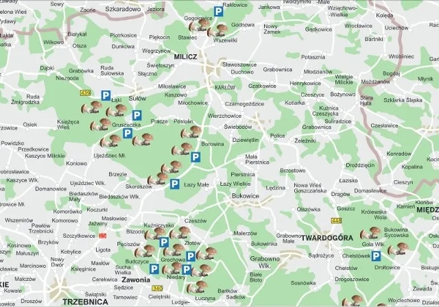 Gdzie na grzyby z noclegiem? Odkryj najlepsze miejsca na grzybobranie