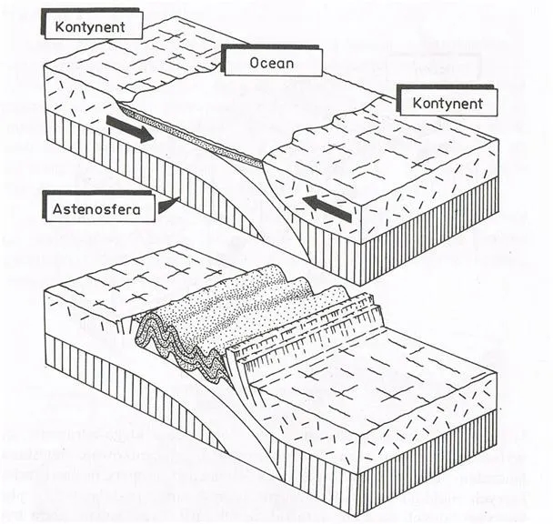 Jak powstają góry fałdowe? Odkryj tajemnice ich formowania